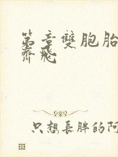 第章双胞胎姐妹齐飞