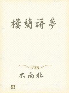 楼兰旖梦封面