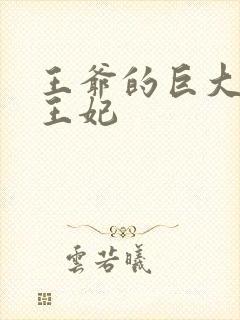 王爷的巨大进入王妃封面