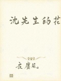沈先生的花式调