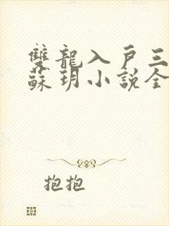 双龙入户三人行苏玥小说全文阅读