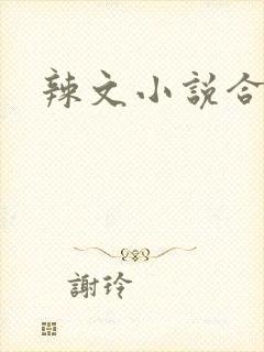 辣文小说合集