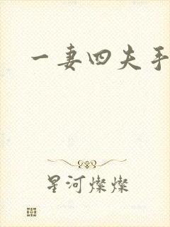 一妻四夫手记封面