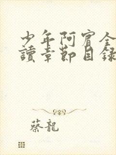 少年阿宾全文阅读章节目录封面