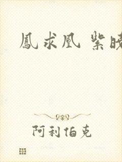 凤求凰 紫晓封面