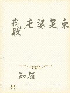 我老婆是东方不败