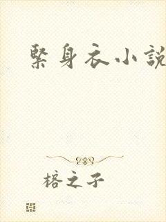 紧身衣小说