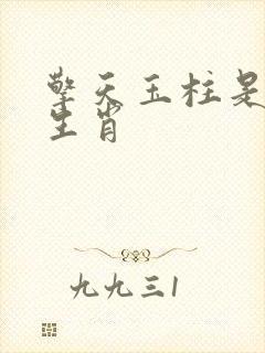 擎天玉柱是什么生肖封面
