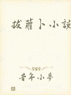 拔萝卜小说