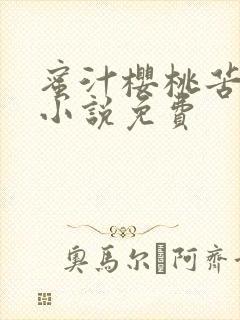 蜜汁樱桃苦咖啡小说免费封面