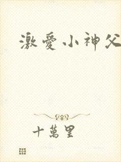 激爱小神父封面