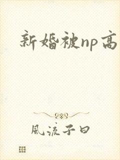 新婚被np高h