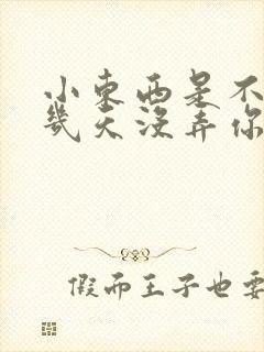 小东西是不是好几天没弄你了