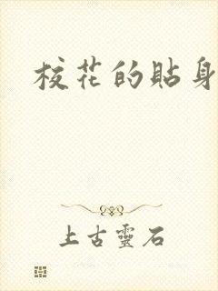 校花的贴身杀手