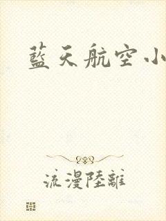蓝天航空小说