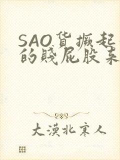 SAO货撅起你的贱屁股来