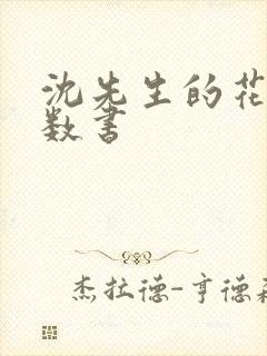 沈先生的花式调数书
