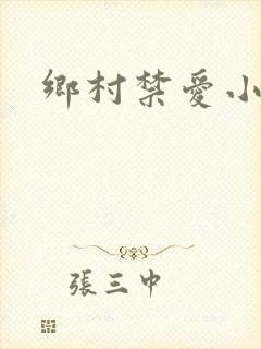 乡村禁爱小说