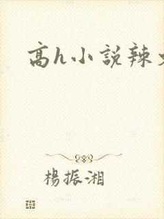 高h小说辣文封面