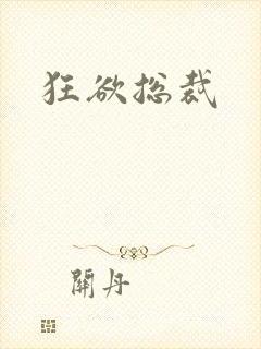 狂欲总裁封面