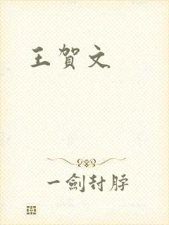 王贺文