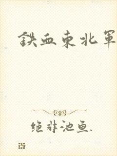 铁血东北军