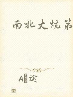 南北大炕第一部封面