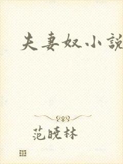 夫妻奴小说
