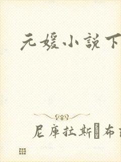 元媛小说下载
