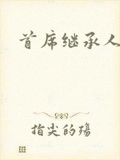 首席继承人