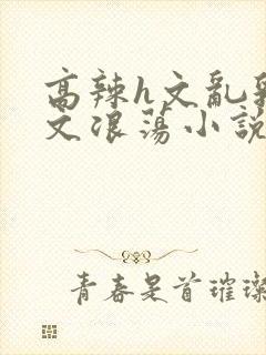 高辣h文乱乳h文浪荡小说苏柔封面