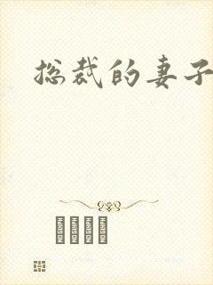 总裁的妻子