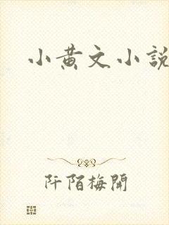 小黄文小说
