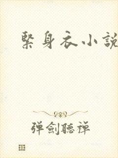 紧身衣小说