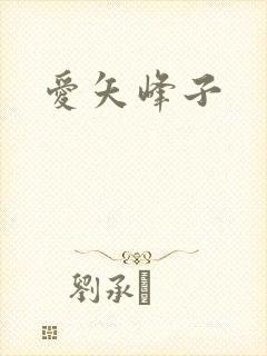 爱矢峰子封面