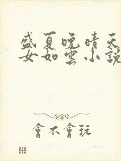 盛夏晚晴天之美女如云小说