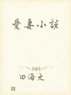 爱妻小说