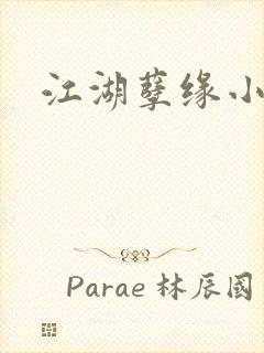 江湖孽缘小说