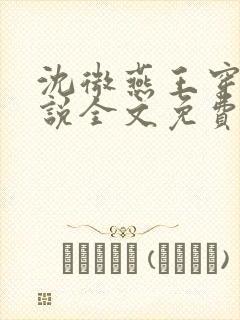 沈微燕王穿越小说全文免费阅读