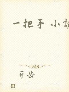 一把手 小说