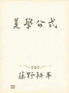 美学公式封面