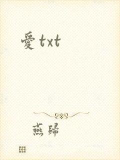 爱txt
