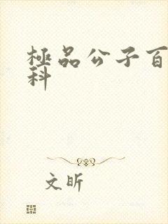 极品公子百度百科