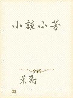 小说小芳封面