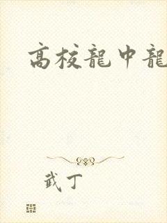高校龙中龙