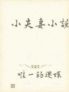 小夫妻小说