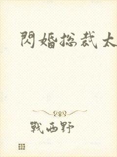 闪婚总裁太霸道