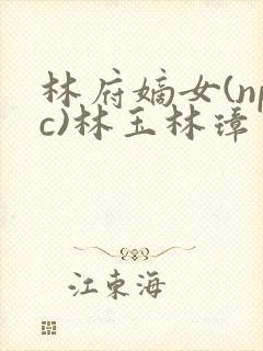 林府嫡女(npc)林玉林璋