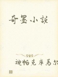 奇墨小说封面