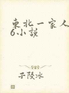 东北一家人1一6小说封面